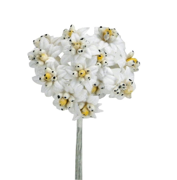 Edelweiss Knstliche Stoffblumen 24 Stck Dekorativer Pick Hutschmuck Weie  Blume - Etsy sterreich