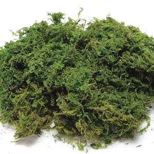 Moss Natural Dried 70 gr