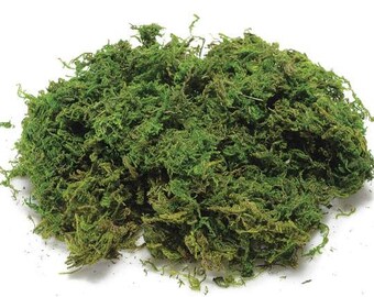 Moss Natural Dried 70 gr