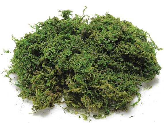 New Green Moss for Crafts Natural Artificial Moss Decorative Faux
