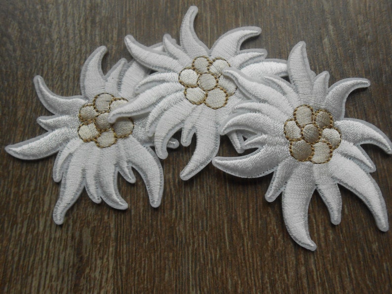 Edelweiss Iron on Set of 3 Embroidered Patch Appliques Etsy