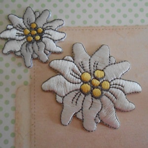 Edelweiss Iron on Embroidered Patch Applique Set of 2