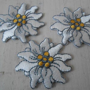 Edelweiss Iron on Set of 3 Embroidered Patch Appliques