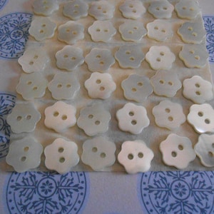 May include: A collection of 30 white mother of pearl buttons with a flower shape and two holes. The buttons are arranged in rows on a white surface.