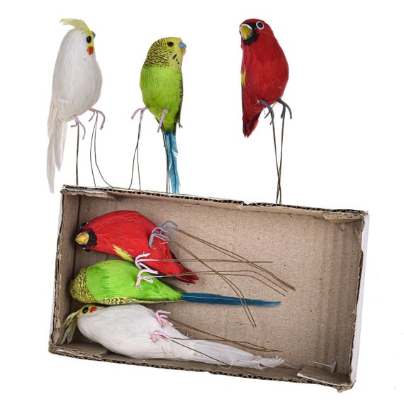 Buy birds online sale