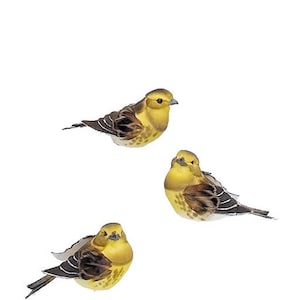 Può includere: Tre uccelli gialli e marroni con occhi e becchi neri. Gli uccelli sono fatti di tessuto e piume e sono usati per la decorazione.