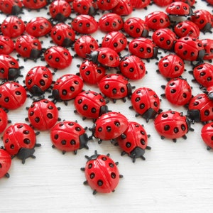 Lieveheersbeestjes Rood Gelukskaartjes 20 stuks Plastic Versiering