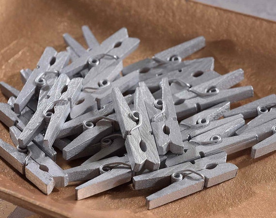Mini Clothespins, Wood Clothespins, Silver, Tiny Clothespins