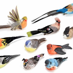 Può includere: Una collezione di uccelli artificiali colorati con piume dettagliate. Gli uccelli presentano una varietà di colori, tra cui arancione, blu, giallo e marrone. Alcuni hanno lunghe penne della coda e sono tutti progettati per assomigliare a diverse specie di uccelli.