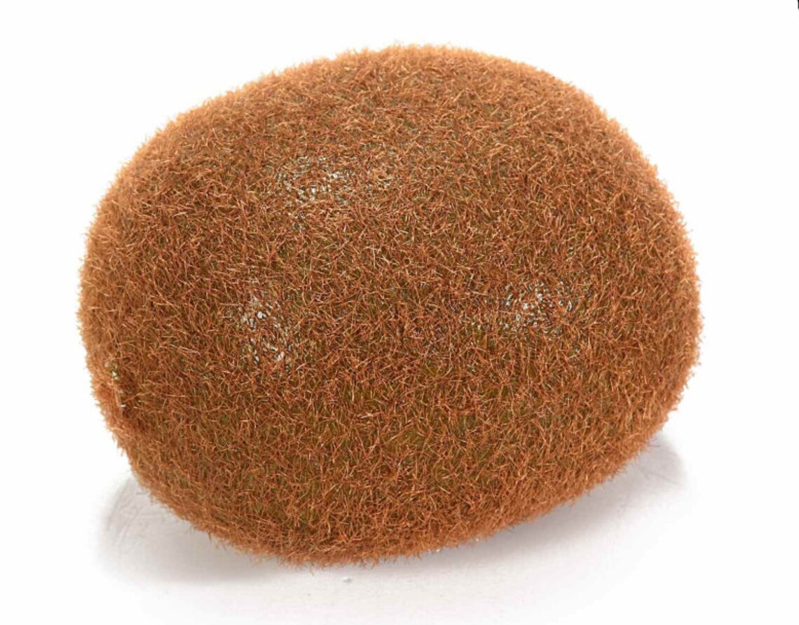 Artificial Kiwi 2 Pcs Plastic Fake Friut Food Ornament Etsy