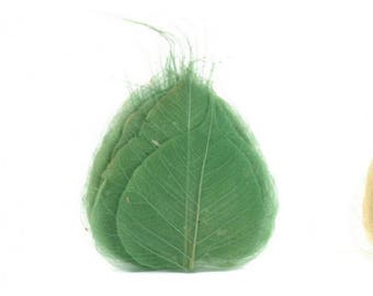 Skeleton Leaves 50 pcs