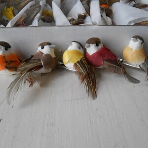 Artificial Mini Birds on Clip with Real Feather Set of 24
