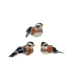 Può includere: Tre piccole statuette decorative di uccelli con piumaggio nero, bianco e marrone aranciato. Ogni uccello ha un becco giallo, una calotta nera sulla testa e dettagliate texture di piume sulle ali e sul corpo, disposti in formazione triangolare.