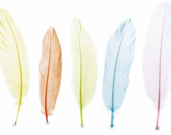 Real Feathers 24 pcs Colored Decorative Plumage