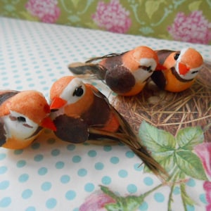 Può includere: Quattro piccoli uccelli marroni e arancioni con il ventre bianco e gli occhi neri. Gli uccelli sono fatti di tessuto e piume e sono seduti su un nido fatto di paglia.