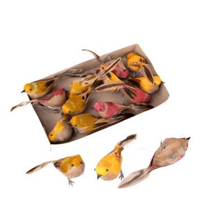 Artificial Birds with Real Feathers Set of 12 Assorted