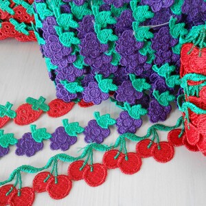 Bordure décorative brodée Fruits Passementerie, embellissement 1 m