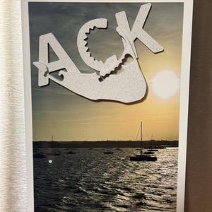 Nantucket Island Magnet - ACK Horseshoe Crab Design - Unique Coastal Wedding Favor, Nautical Stocking Stuffer, New England Cape Cod Gift