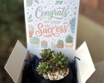 ¡Felicitaciones! Maceta para suculentas / Regalo de graduación, ascenso o nuevo trabajo (maceta impresa en 3D)