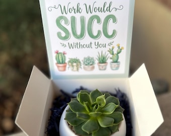 Suculenta de agradecimiento al empleado / El trabajo sería un fracaso sin ti / Planta de escritorio para compañeros de trabajo / Maceta impresa en 3D