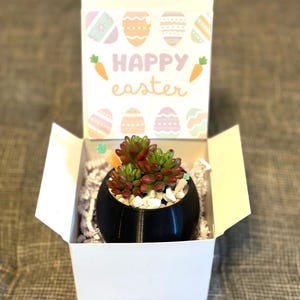 Easter Succulent Gift – Live Succulent with 3D Printed Pot