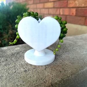 May include: A white, heart-shaped planter with a round base, holding a trailing string of green, spherical plants. The planter is made of a smooth, solid material and sits on a concrete surface, with a brick wall in the background.