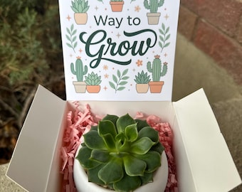 Caja de regalo Way to Grow con suculenta / Regalo de agradecimiento para empleados / Regalo de recompensa para estudiantes / Regalo de motivación / Planta pequeña de escritorio