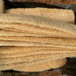 Set aus 3 Natürliche Luffa Schwämme - Whole Luffa Badewäscher, Peeling-Körperreiniger (23-35 cm)