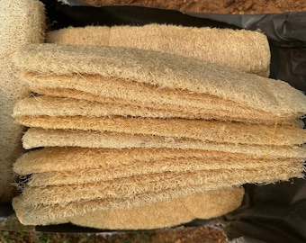 Lot de 3 éponges naturelles en luffa : un nettoyant pour le bain au luffa entier, un nettoyant exfoliant pour le corps (9-14 pouces)