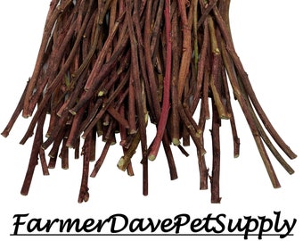 100 Blueberry Ultra Skinny Sticks for Rabbits, Guinea Pigs, Chinchillas, Gerbils, and Hamsters