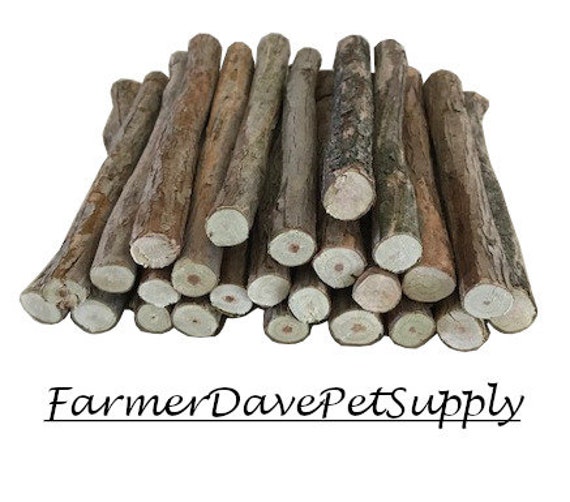 25 Blueberry Big Chew Sticks For Rabbits, Guinea Pigs, Chinchillas, Gerbils, & Hamsters