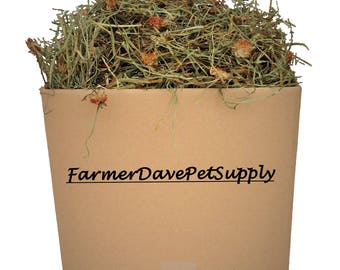 3 lb 2nd Cut Timothy Hay WITH CLOVER for rabbits, bunnies, guinea pigs, and other small pets