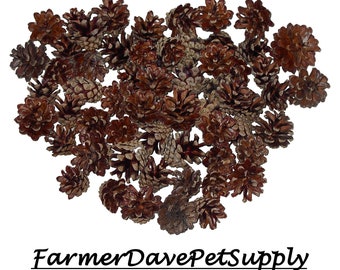 60 Mini Pinecones for Small Pets, All-Natural & Organic