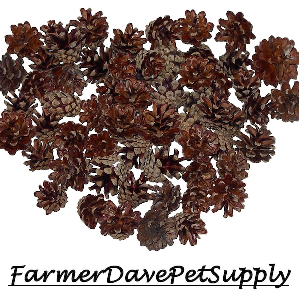 60 Mini Pinecones for Small Pets, All-Natural & Organic