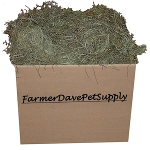 10 lb Premium 3rd Cut Timothy Hay for Chinchillas, Guinea Pigs and Small Animals