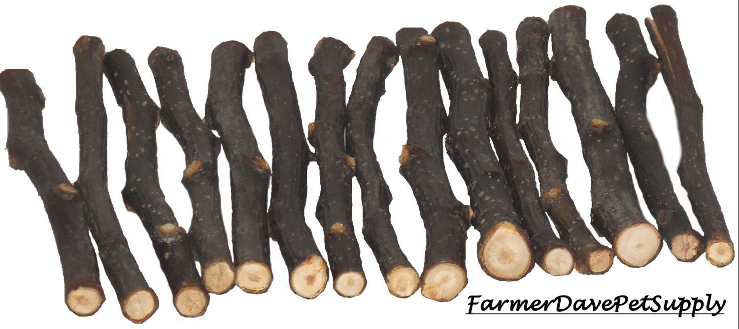 15 PEAR CHEW STICKS for Rabbits Guinea Pigs Chinchillas Etsy