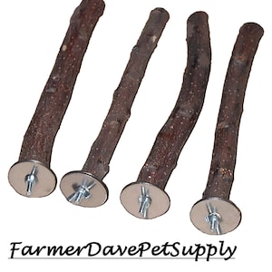 1/2in x 10in - 4 Apple Pet Chews & Bird Perches with Hardware
