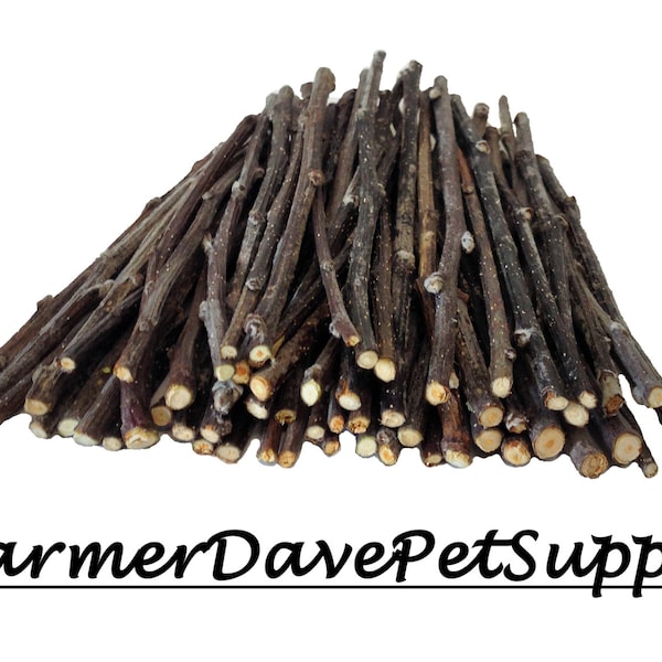 60 APPLE SKINNY STICKS for Rabbits, Guinea Pigs, Chinchillas, Gerbils, and Hamsters