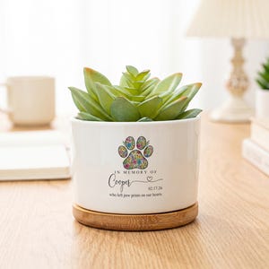Pode incluir: Um vaso cilíndrico de cerâmica branca com base de bambu contendo uma suculenta verde. O vaso apresenta um gráfico de pata floral e o texto: IN MEMORY OF Cooper 02.17.26 who left paw prints on our hearts.