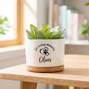 Custom Pet Memorial Planter for Pet Lovers, Personalized Remembrance Succulent Pot with Name, Dog or Cat Loss Sympathy Gift