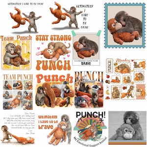 Punch Baby Monkey PNG Bundle, Viral Emotional Plush Monkey Pack, Lonely Cute Wildlife Graphics, Dear Punch Inspired Digital Download
