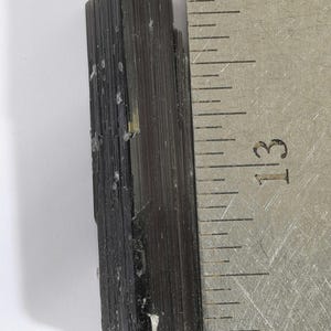 Pu&ograve; includere: Un cristallo di tormalina verde scuro allungato con striature verticali e aspetto sfaccettato, posizionato accanto a un righello metallico che mostra una lunghezza di circa 3,8 centimetri tra i segni di 12 e 13,5 pollici.