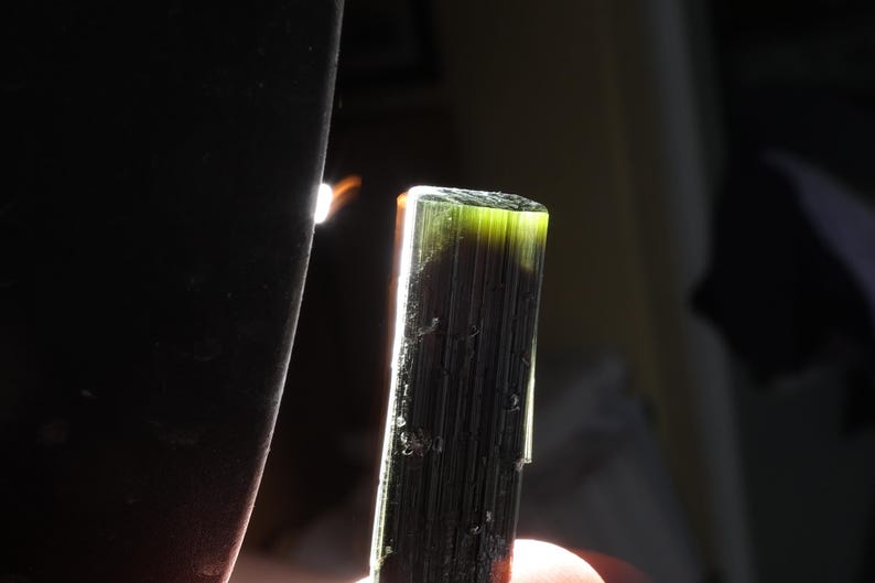 Pu&ograve; includere: Un cristallo di tormalina grezzo e allungato con una consistenza striata verticale. Il minerale mostra un colore verde scuro profondo che sfuma in un verde oliva pi&ugrave; chiaro e traslucido sul bordo superiore dove la luce attraversa la struttura.