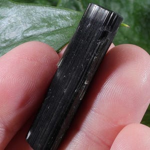 Pu&ograve; includere: Un cristallo di tormalina nera grezzo e allungato caratterizzato da una superficie con striature verticali. Il campione minerale presenta un aspetto scuro e opaco con una forma prismatica naturale e bordi netti e definiti.