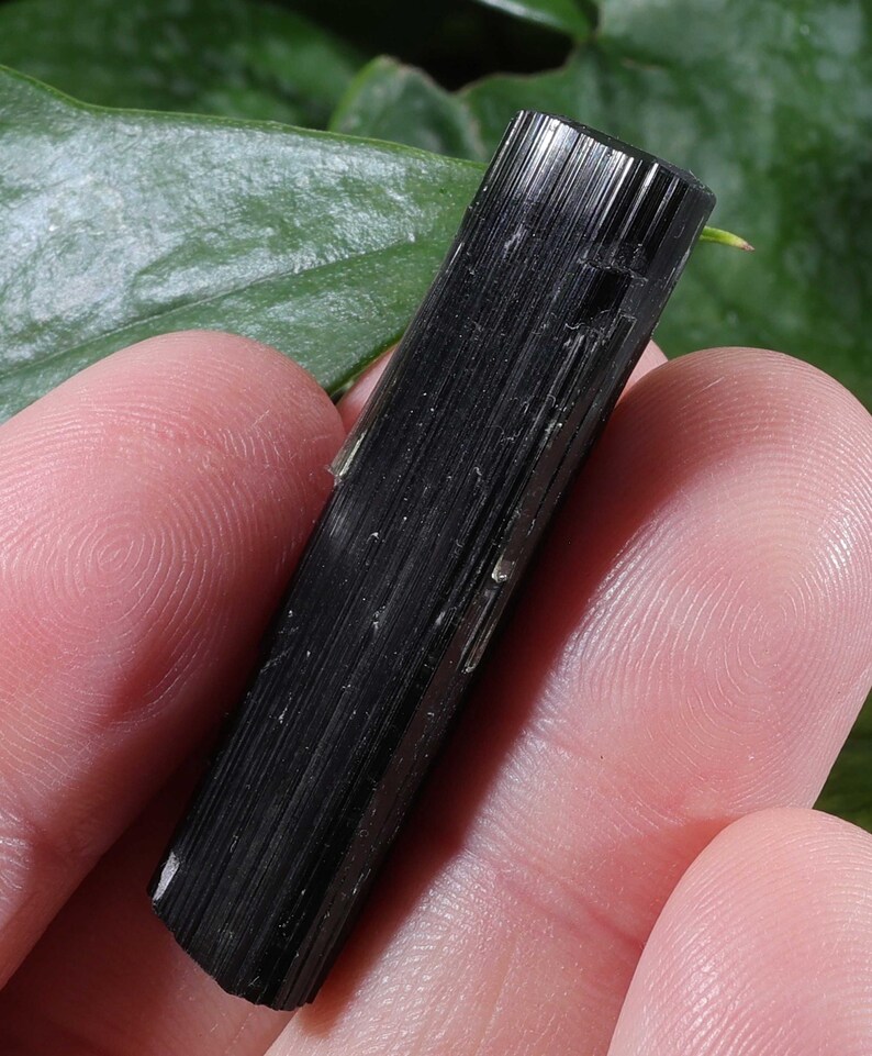 Pu&ograve; includere: Un cristallo di tormalina nera grezzo e allungato caratterizzato da una superficie con striature verticali. Il campione minerale presenta un aspetto scuro e opaco con una forma prismatica naturale e bordi netti e definiti.