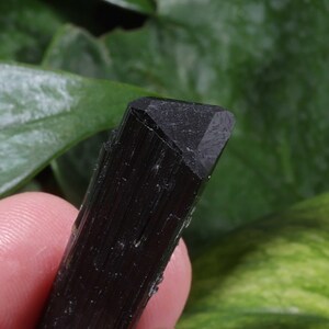 Pu&ograve; includere: Un cristallo di tormalina nera grezza caratterizzato da una distinta forma prismatica allungata con striature verticali lungo i lati e una terminazione triangolare piatta sulla sommit&agrave;, che mostra un colore nero opaco profondo e una consistenza naturale.