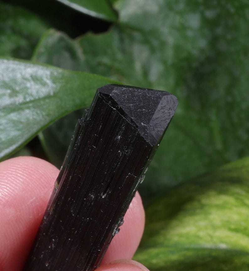 Pu&ograve; includere: Un cristallo di tormalina nera grezza caratterizzato da una distinta forma prismatica allungata con striature verticali lungo i lati e una terminazione triangolare piatta sulla sommit&agrave;, che mostra un colore nero opaco profondo e una consistenza naturale.
