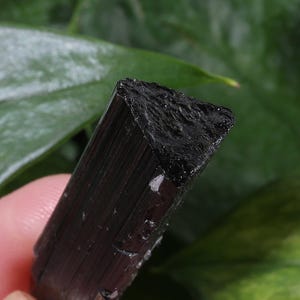 Pu&ograve; includere: Un esemplare di cristallo di tormalina nera grezza caratterizzato da una distinta sezione trasversale triangolare con striature verticali lungo la sua lunghezza. La superficie superiore presenta una consistenza ruvida e frastagliata.