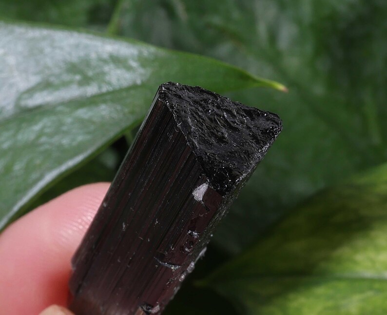 Pu&ograve; includere: Un esemplare di cristallo di tormalina nera grezza caratterizzato da una distinta sezione trasversale triangolare con striature verticali lungo la sua lunghezza. La superficie superiore presenta una consistenza ruvida e frastagliata.