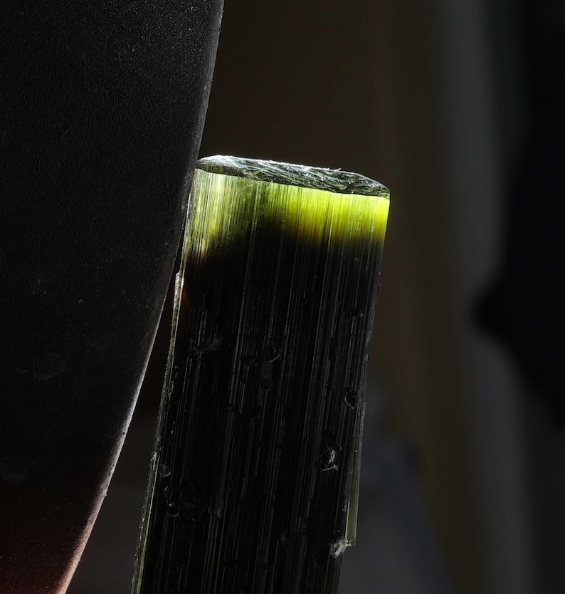 Pu&ograve; includere: Un cristallo di tormalina grezzo e allungato di colore verde scuro intenso. La parte superiore del minerale &egrave; traslucida e brilla di una tonalit&agrave; verde lime brillante quando illuminata, mentre il corpo inferiore rimane opaco e scuro.